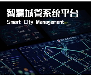 济南城市运行管理服务平台——济南市城市运行管理服务平台正式上线运行